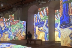 Van Gogh Multi Media Show im Schloss Kalmar