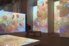 Van Gogh Multi Media Show im Schloss Kalmar